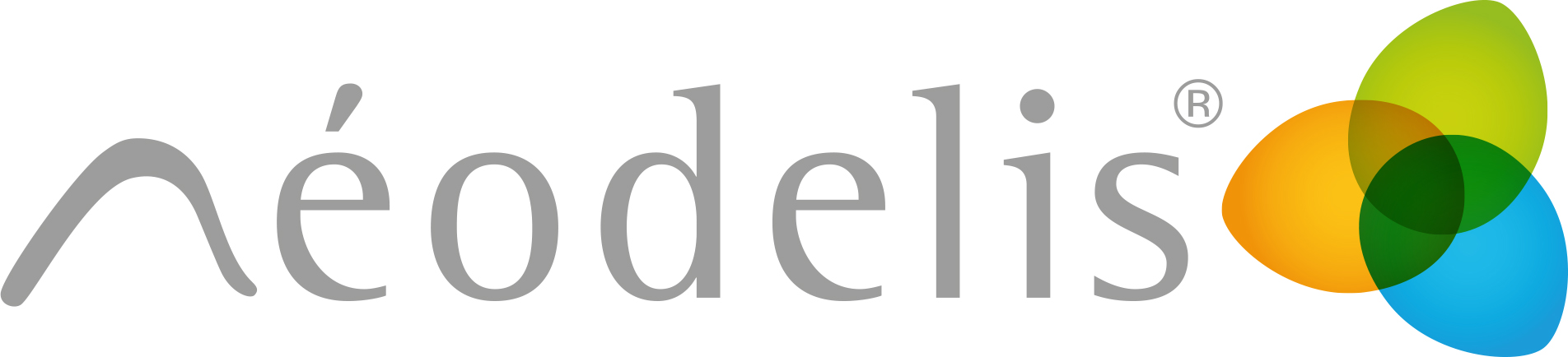 Logo Neodelis